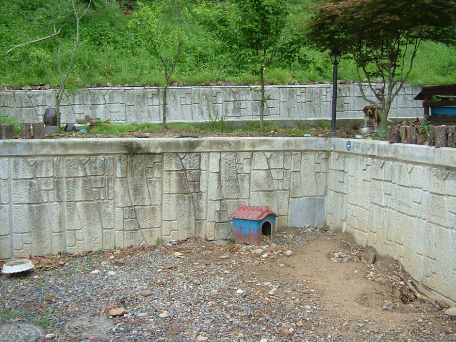 DSCF0907.JPG